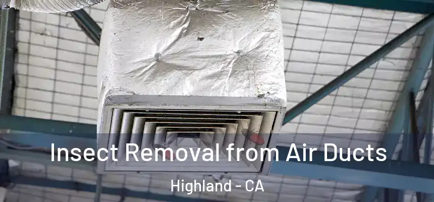 Insect Removal from Air Ducts Highland - CA