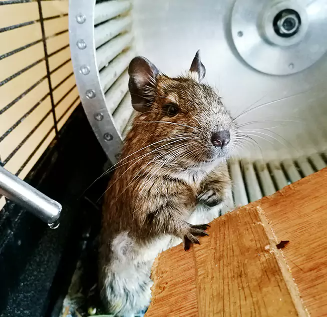 Why Homeowners & Businesses Trust Us Highland, CA